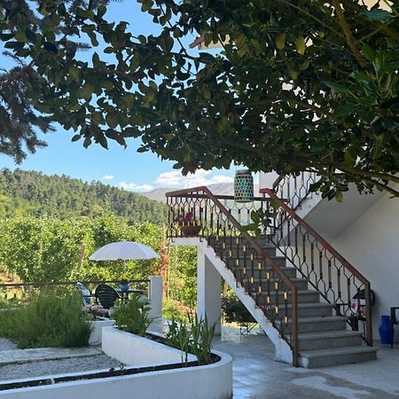 Casa Vicente Villa Lamego Luaran gambar