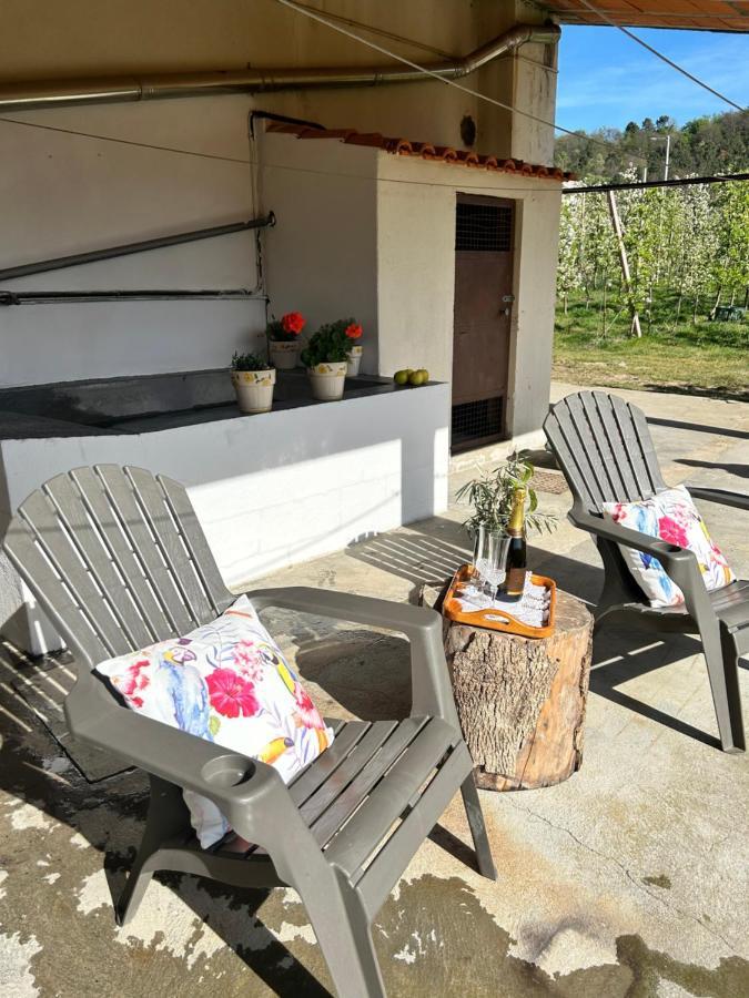 Casa Vicente Villa Lamego Luaran gambar