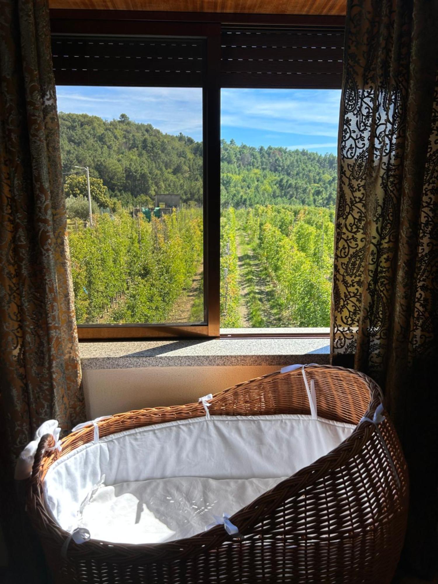 Casa Vicente Villa Lamego Luaran gambar