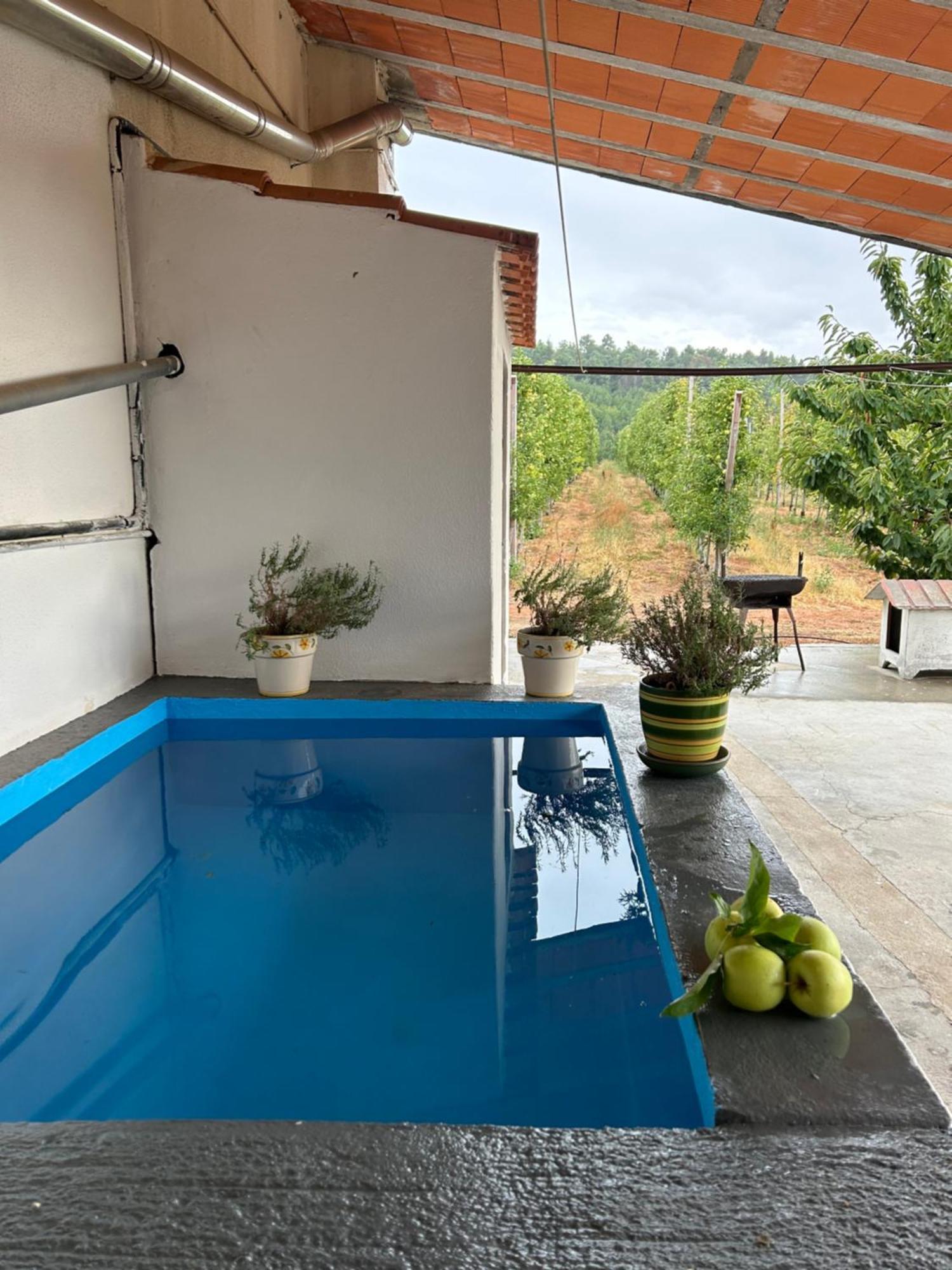 Casa Vicente Villa Lamego Luaran gambar