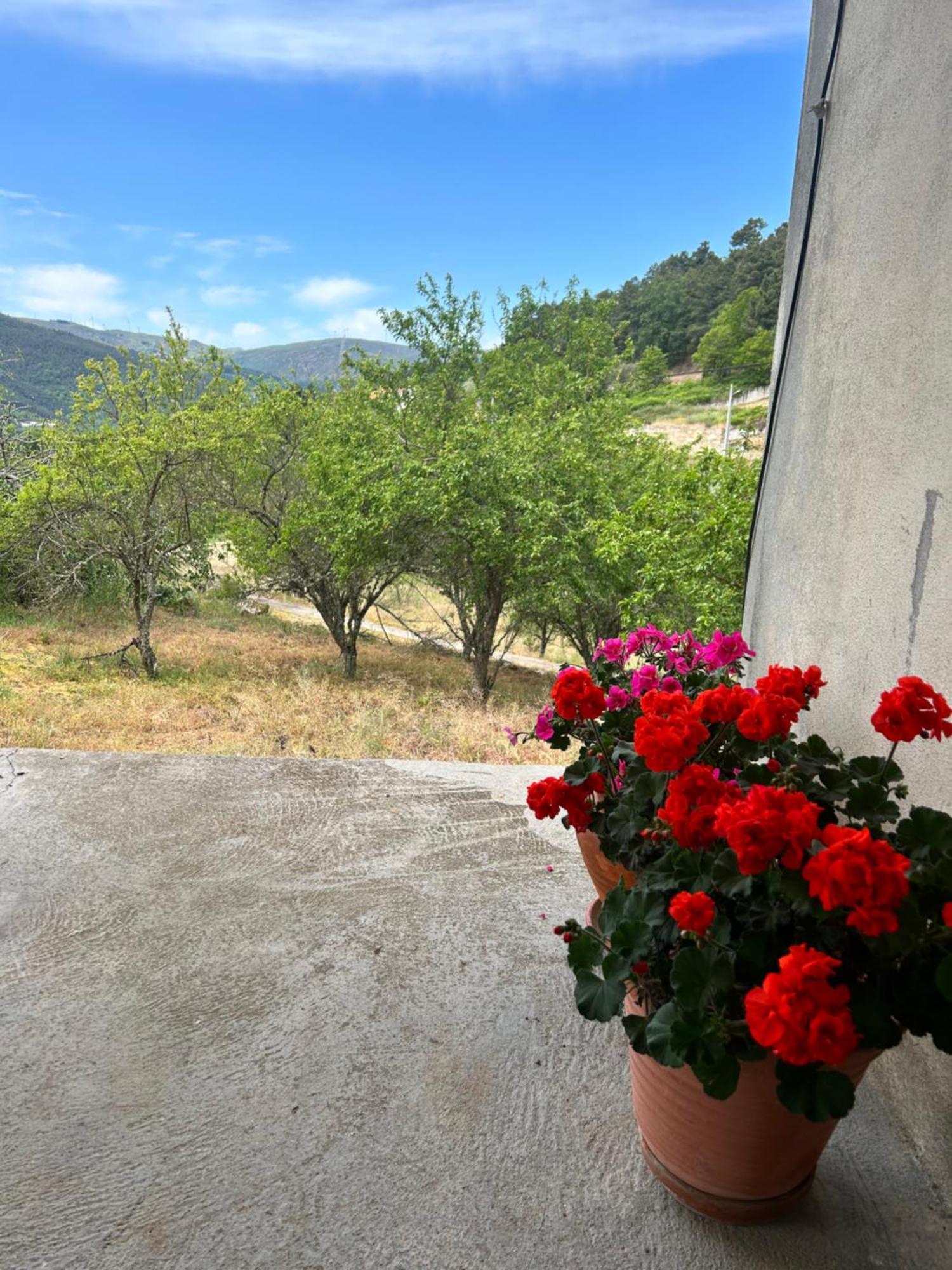 Casa Vicente Villa Lamego Luaran gambar