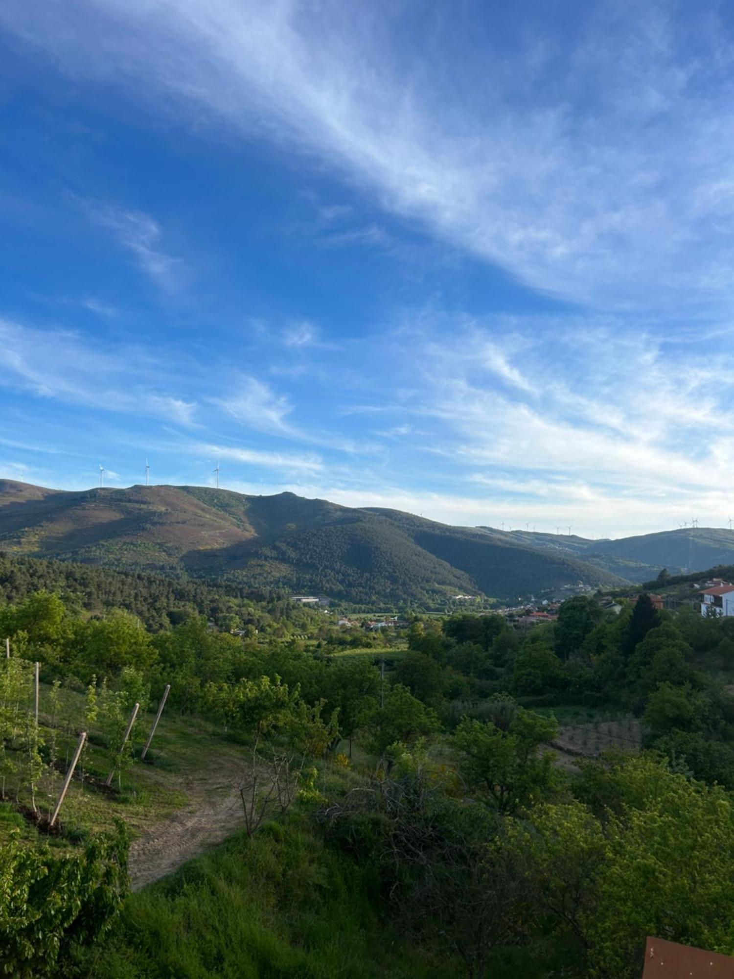 Casa Vicente Villa Lamego Luaran gambar