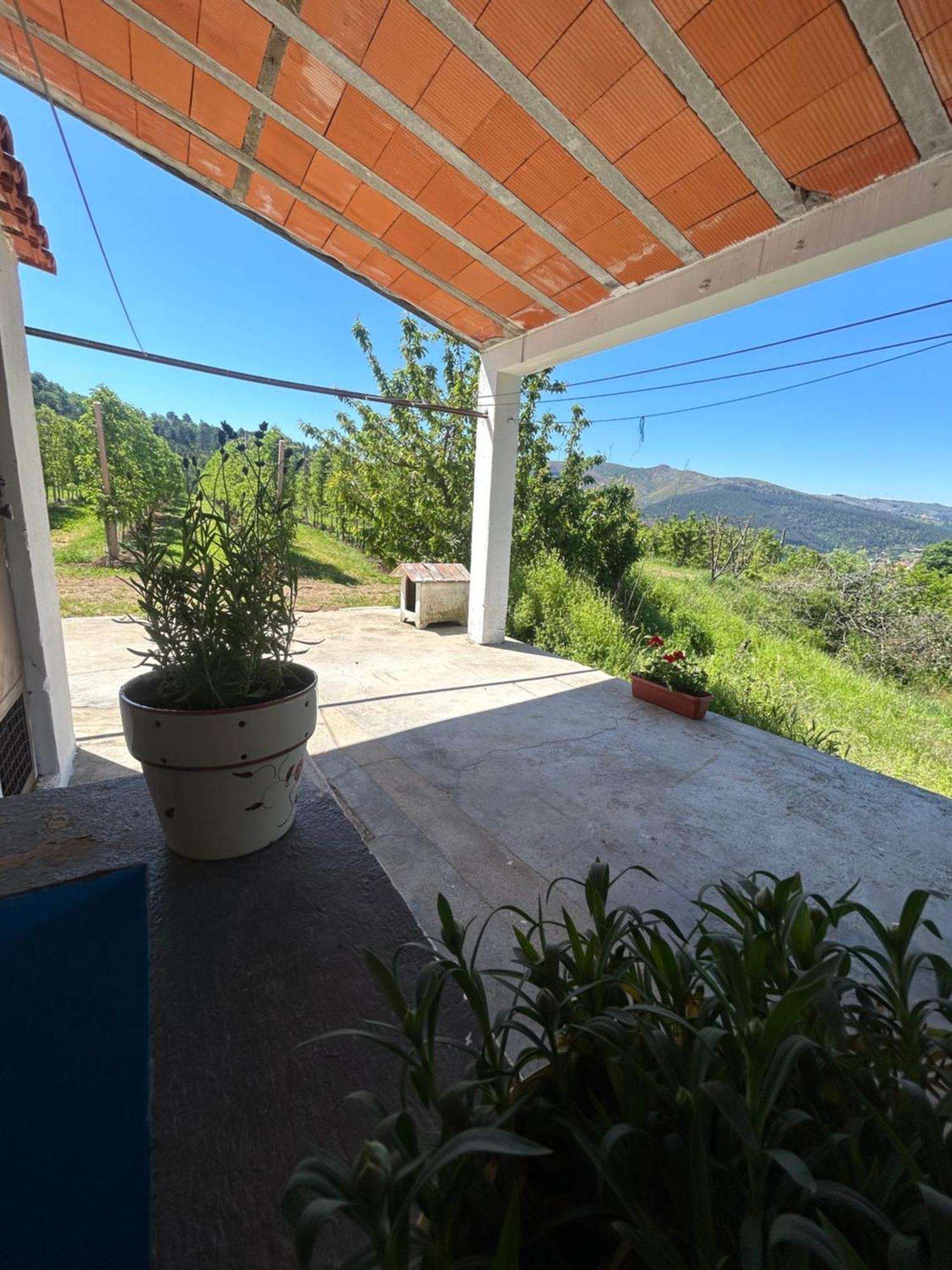 Casa Vicente Villa Lamego Luaran gambar