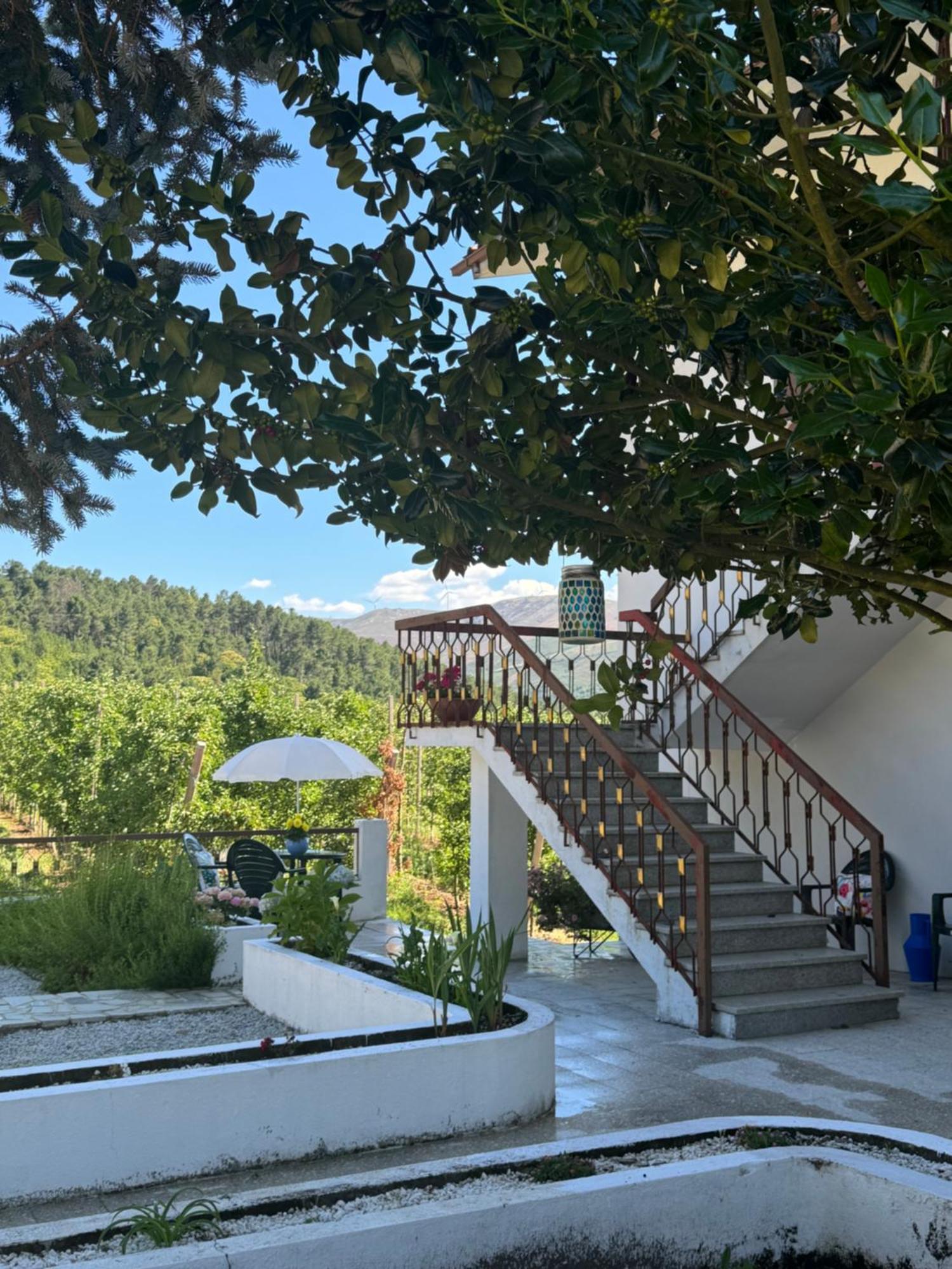 Casa Vicente Villa Lamego Luaran gambar